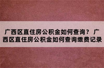 广西区直住房公积金如何查询？ 广西区直住房公积金如何查询缴费记录